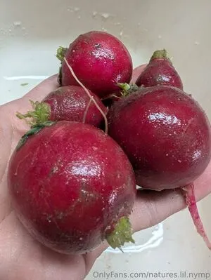 Natures Lil Nymp OnlyFans Leaked Free Thumbnail Picture - #ebi2xH0P3v