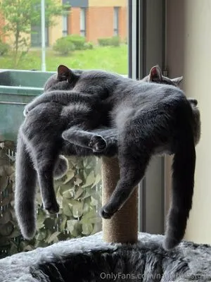 Naughtiestgal OnlyFans Leaked Free Thumbnail Picture - #BXAXNG6Ha6