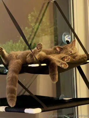 Naughtiestgal OnlyFans Leaked Free Thumbnail Picture - #HRIyL2wPFA