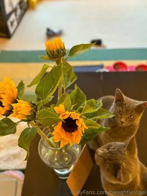 Naughtiestgal OnlyFans Leaked Free Thumbnail Picture - #ImHoVaqr21