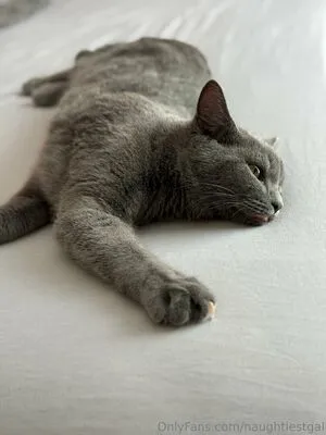 Naughtiestgal OnlyFans Leaked Free Thumbnail Picture - #LrrZ2gFS53