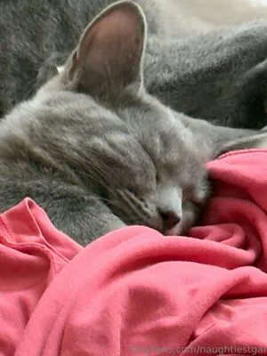 Naughtiestgal OnlyFans Leaked Free Thumbnail Picture - #WTrw4PSLv2