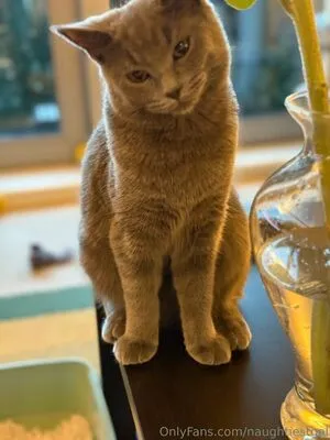 Naughtiestgal OnlyFans Leaked Free Thumbnail Picture - #Xdd7JZPd0t