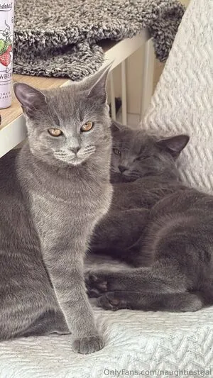 Naughtiestgal OnlyFans Leaked Free Thumbnail Picture - #Y8qtzmLc3w