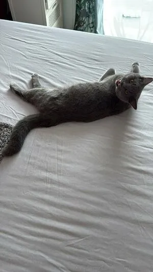 Naughtiestgal OnlyFans Leaked Free Thumbnail Picture - #msii0tAP2K