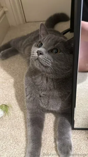 Naughtiestgal OnlyFans Leaked Free Thumbnail Picture - #nml4KGeTP7