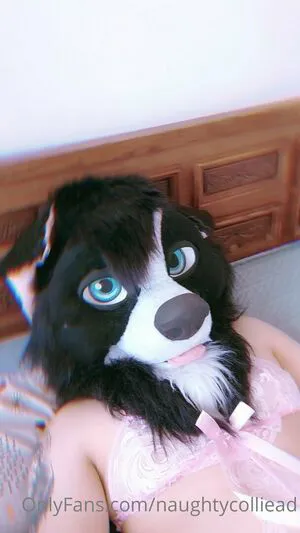 Naughtycolliead OnlyFans Leaked Free Thumbnail Picture - #vpQoCBKEib