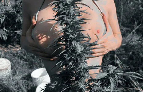 Naughtyeve33 OnlyFans Leaked Free Thumbnail Picture - #S8deb9lOg3