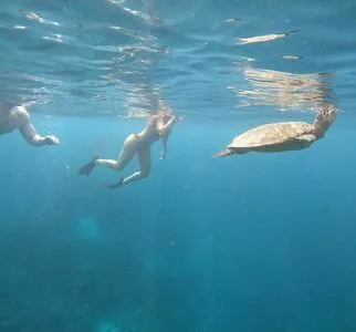 Nazlilith OnlyFans Leaked Free Thumbnail Picture - #5LVIRCjNK5