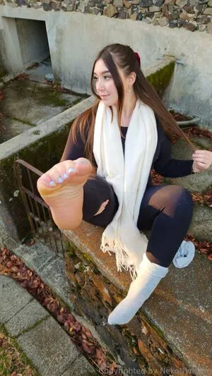 Nekonymphefree OnlyFans Leaked Free Thumbnail Picture - #cvLuT2EvrZ