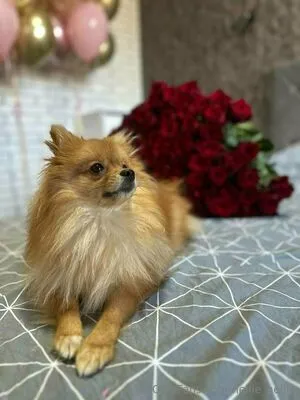 Nellie Nellie OnlyFans Leaked Free Thumbnail Picture - #FwbnID2QmE