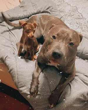 Nerea Lopez OnlyFans Leaked Free Thumbnail Picture - #7zhY4Etsew