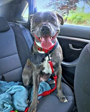 Nerea Lopez OnlyFans Leaked Free Thumbnail Picture - #qeQjXqNVF5