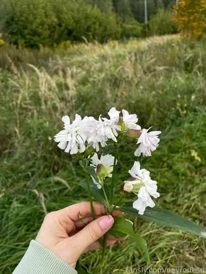 Neyrodesu OnlyFans Leaked Free Thumbnail Picture - #EEX8xskI8d