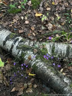 Neyrodesu OnlyFans Leaked Free Thumbnail Picture - #EIJRuNDIvb