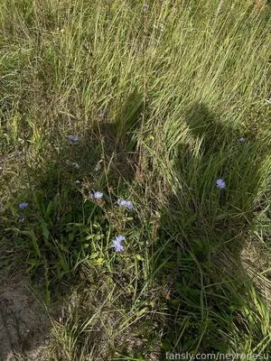 Neyrodesu OnlyFans Leaked Free Thumbnail Picture - #SFsSmOSdXj