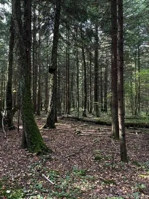 Neyrodesu OnlyFans Leaked Free Thumbnail Picture - #tb5Ep62DcG