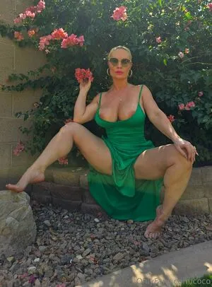 Nicole Coco Austin OnlyFans Leaked Free Thumbnail Picture - #WrVUnxe8by