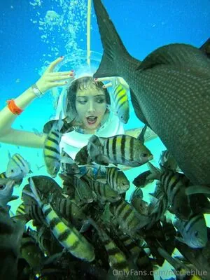 Nicoleblue OnlyFans Leaked Free Thumbnail Picture - #Sxp8mmkT33