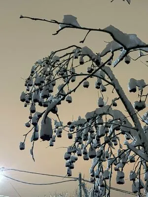 Nightivy OnlyFans Leaked Free Thumbnail Picture - #KXiCksXhBq