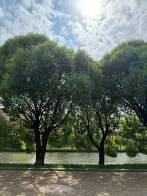 Nightivy OnlyFans Leaked Free Thumbnail Picture - #o8eR7W0ToE