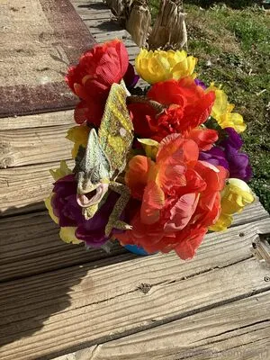 Niki J OnlyFans Leaked Free Thumbnail Picture - #RwymAyX20l