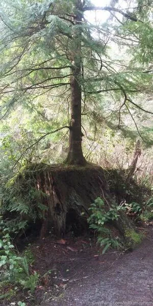 Nikki Mayhem OnlyFans Leaked Free Thumbnail Picture - #BxO3aOhZbs