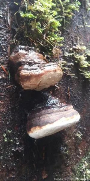 Nikki Mayhem OnlyFans Leaked Free Thumbnail Picture - #KlOAC80LAJ