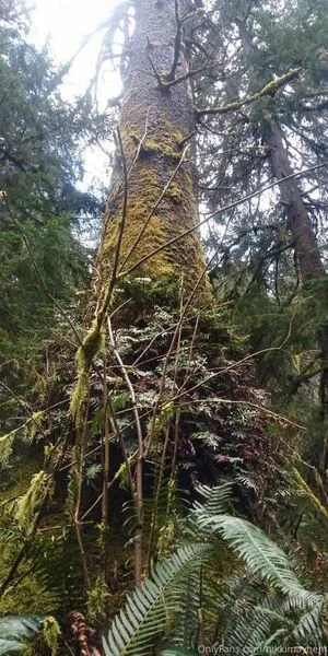 Nikki Mayhem OnlyFans Leaked Free Thumbnail Picture - #Km1RH1EmCF