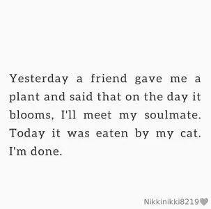 Nikkinikki8219 OnlyFans Leaked Free Thumbnail Picture - #RC8MhMZt8c