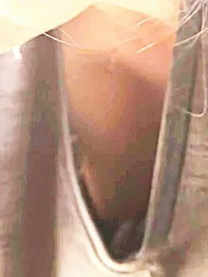 Nilce Moretto OnlyFans Leaked Free Thumbnail Picture - #5ZxSgPaeQU