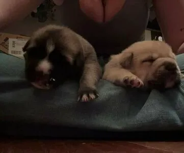 Nina Gademan OnlyFans Leaked Free Thumbnail Picture - #NAowiv9lyv