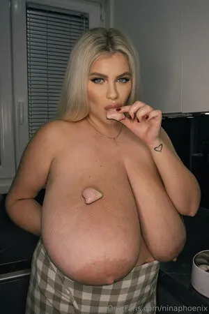 NinaPhoenix OnlyFans Leaked Free Thumbnail Picture - #IOabMLKCfN