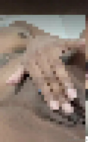 Ninjanextdoor OnlyFans Leaked Free Thumbnail Picture - #5C0eOf9sPp