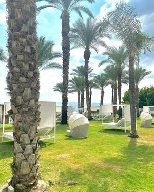 Noaperetss OnlyFans Leaked Free Thumbnail Picture - #N42Lz8hkkl