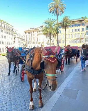 Noaperetss OnlyFans Leaked Free Thumbnail Picture - #hrh71OBXfo