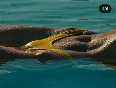 Noemie Neuens OnlyFans Leaked Free Thumbnail Picture - #6jYTCNvz5W