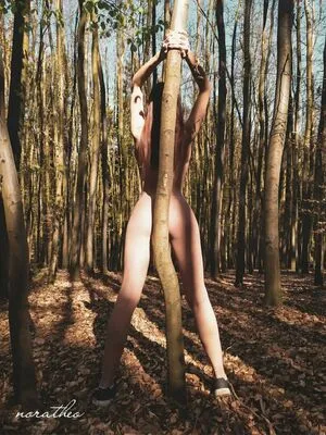 Noratheo OnlyFans Leaked Free Thumbnail Picture - #Sw80aCiXW0