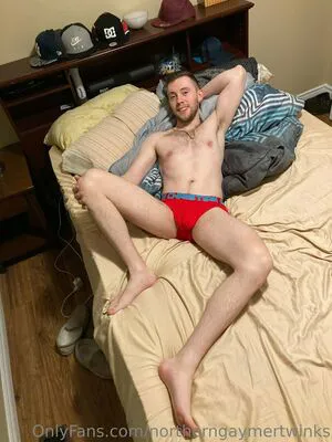 Northerngaymertwinks OnlyFans Leaked Free Thumbnail Picture - #fhIxblNF4q