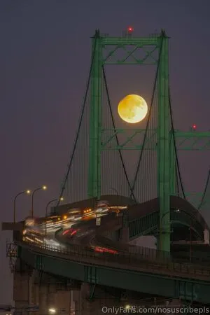 Nosuscribepls OnlyFans Leaked Free Thumbnail Picture - #ldQUI63nP2