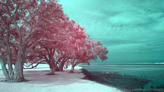 Nosuscribepls OnlyFans Leaked Free Thumbnail Picture - #lnnlyFQoxY