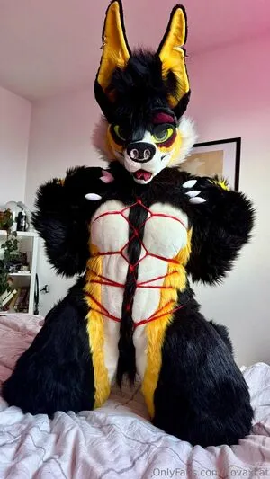 Novaxcat OnlyFans Leaked Free Thumbnail Picture - #EMGtHGpW7B