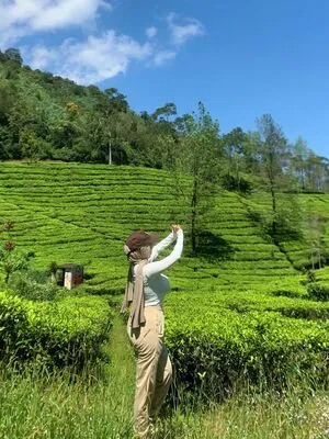 Nraniptri OnlyFans Leaked Free Thumbnail Picture - #i0R2aTXHCO