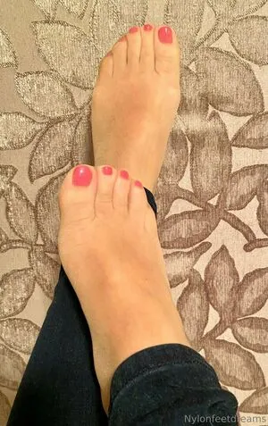 Nylonfeetdreams OnlyFans Leaked Free Thumbnail Picture - #SpDrOAnQ0o