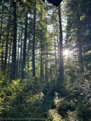 Offgridamelia OnlyFans Leaked Free Thumbnail Picture - #7g5smJufmu