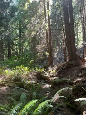 Offgridamelia OnlyFans Leaked Free Thumbnail Picture - #nzJs7X26K3