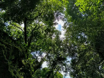 Officefacil OnlyFans Leaked Free Thumbnail Picture - #MZPqW8rsqc