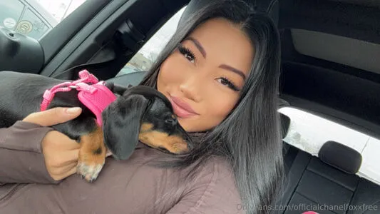 Officialchanelfoxxfree OnlyFans Leaked Free Thumbnail Picture - #zJF9NWu8of