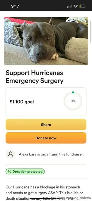 Og Xolexa OnlyFans Leaked Free Thumbnail Picture - #MAGVISa33J