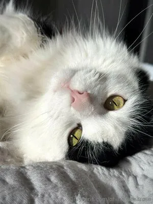 Ohitsemmarose OnlyFans Leaked Free Thumbnail Picture - #uXReTg6j6O